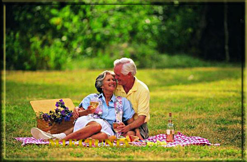 Babcia i dziadek piknik